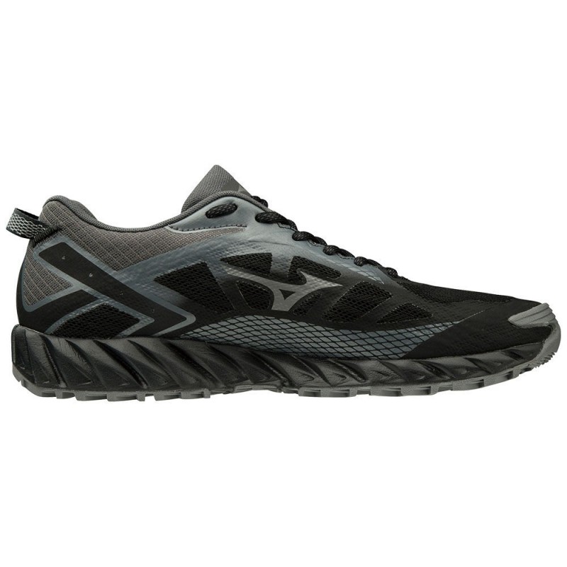 mizuno wave ibuki 2 gtx